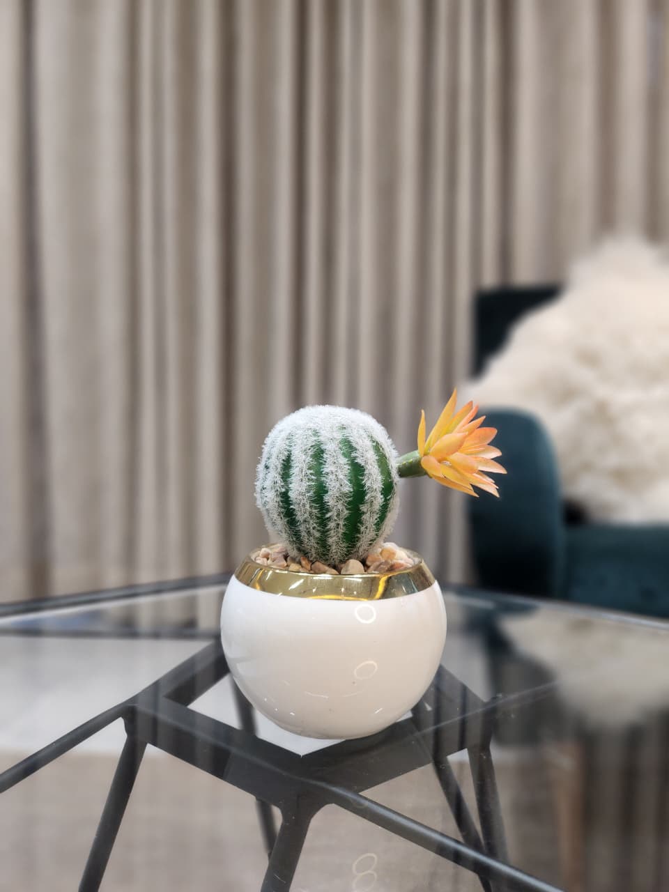 Desert Bloom Ceramic Planter