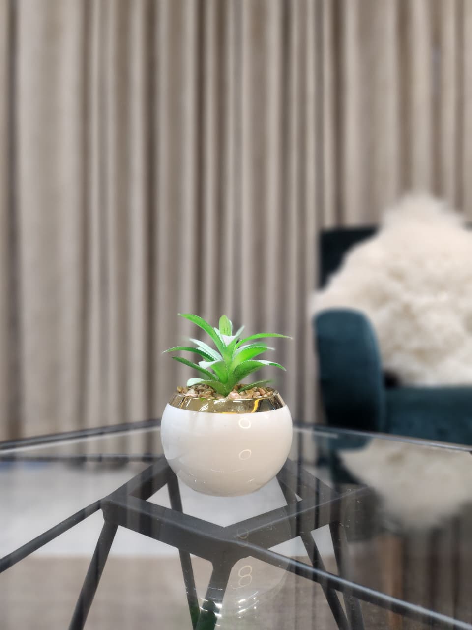 Desert Bloom Ceramic Planter