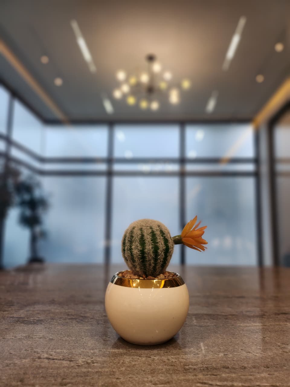 Desert Bloom Ceramic Planter