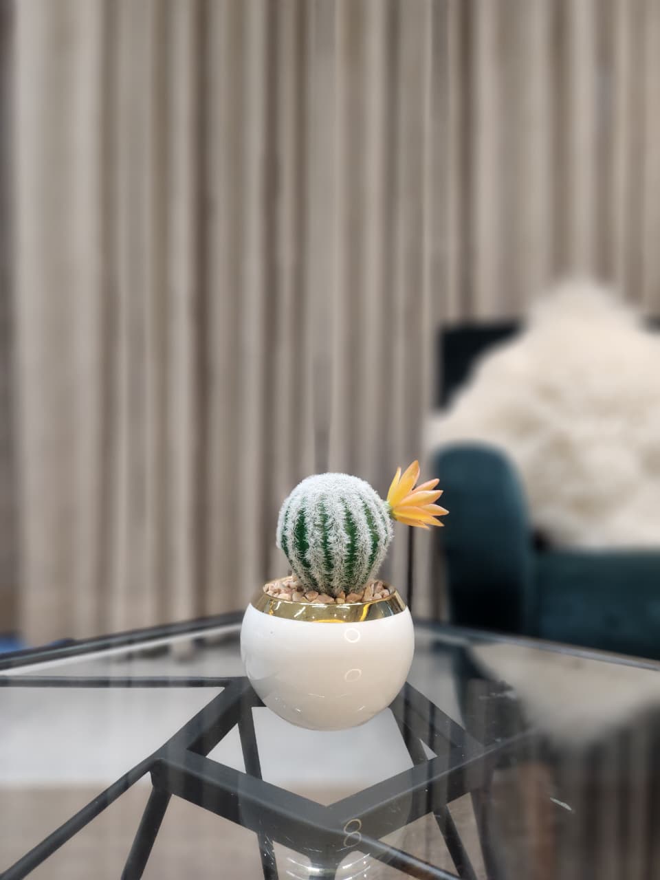 Desert Bloom Ceramic Planter