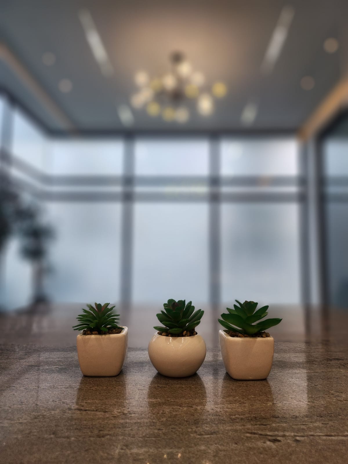 Mini Artificial Succulent Plants – Set of 3